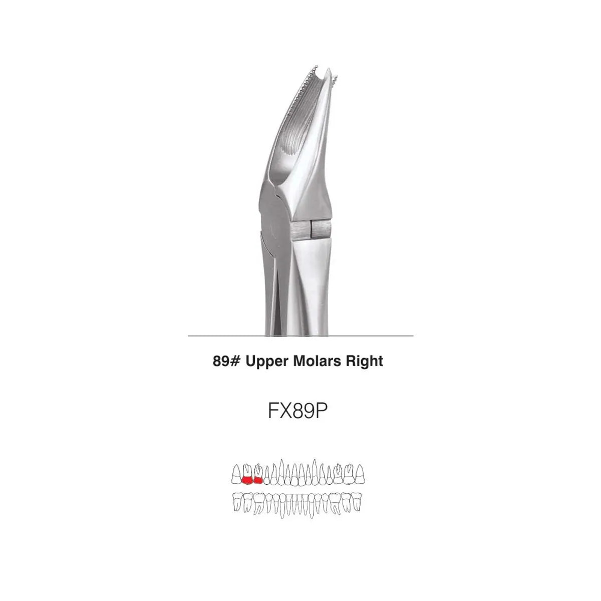 GDC Extraction Forceps S/12 With Cassette Instruments Kit (EFPWC12)