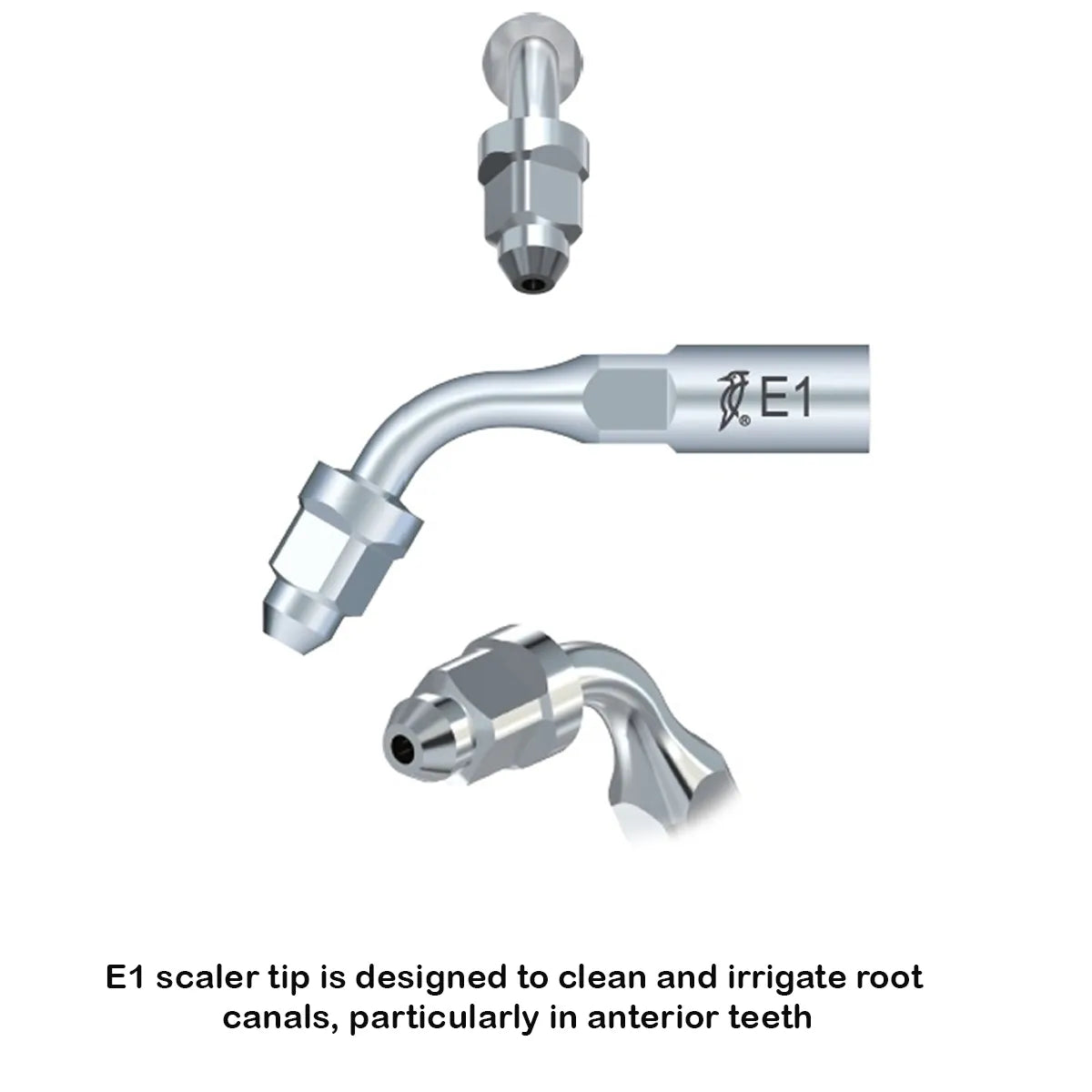 Woodpecker Scaler Tip E1 for UDS & EMS Scalers