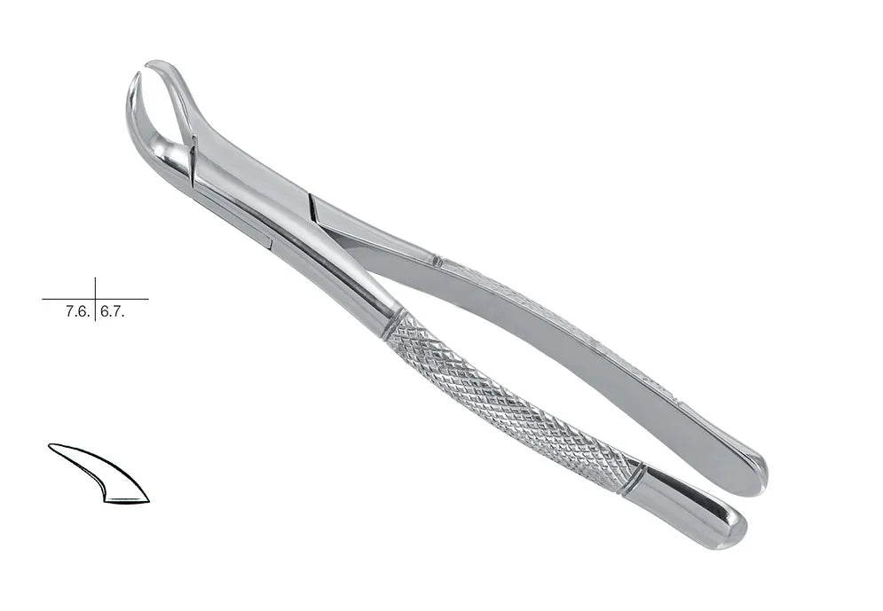 GDC American Extraction Forceps