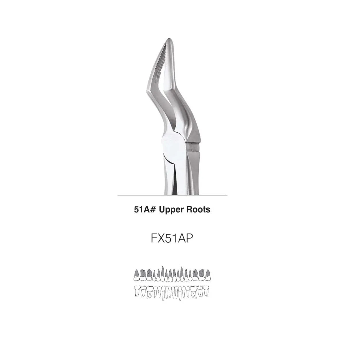 GDC Extraction Forceps S/12 With Cassette Instruments Kit (EFPWC12)
