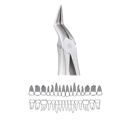 GDC Extraction Forceps Upper Roots - 197.11 Secure (SFX197.11)