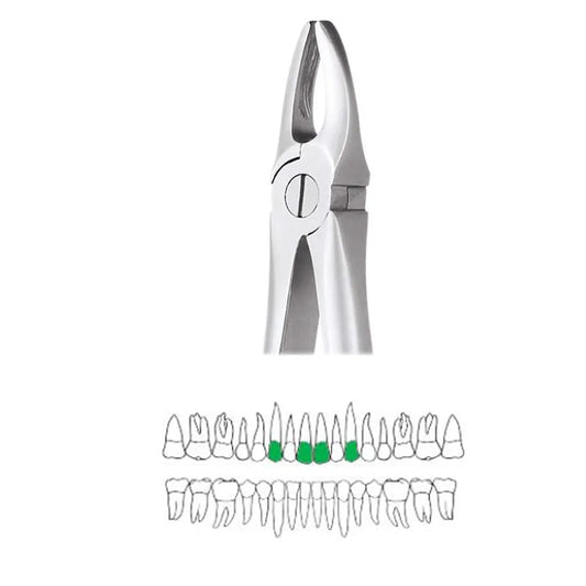 GDC Extraction Forceps Upper Anteriors - 1 Standard (FX1S)