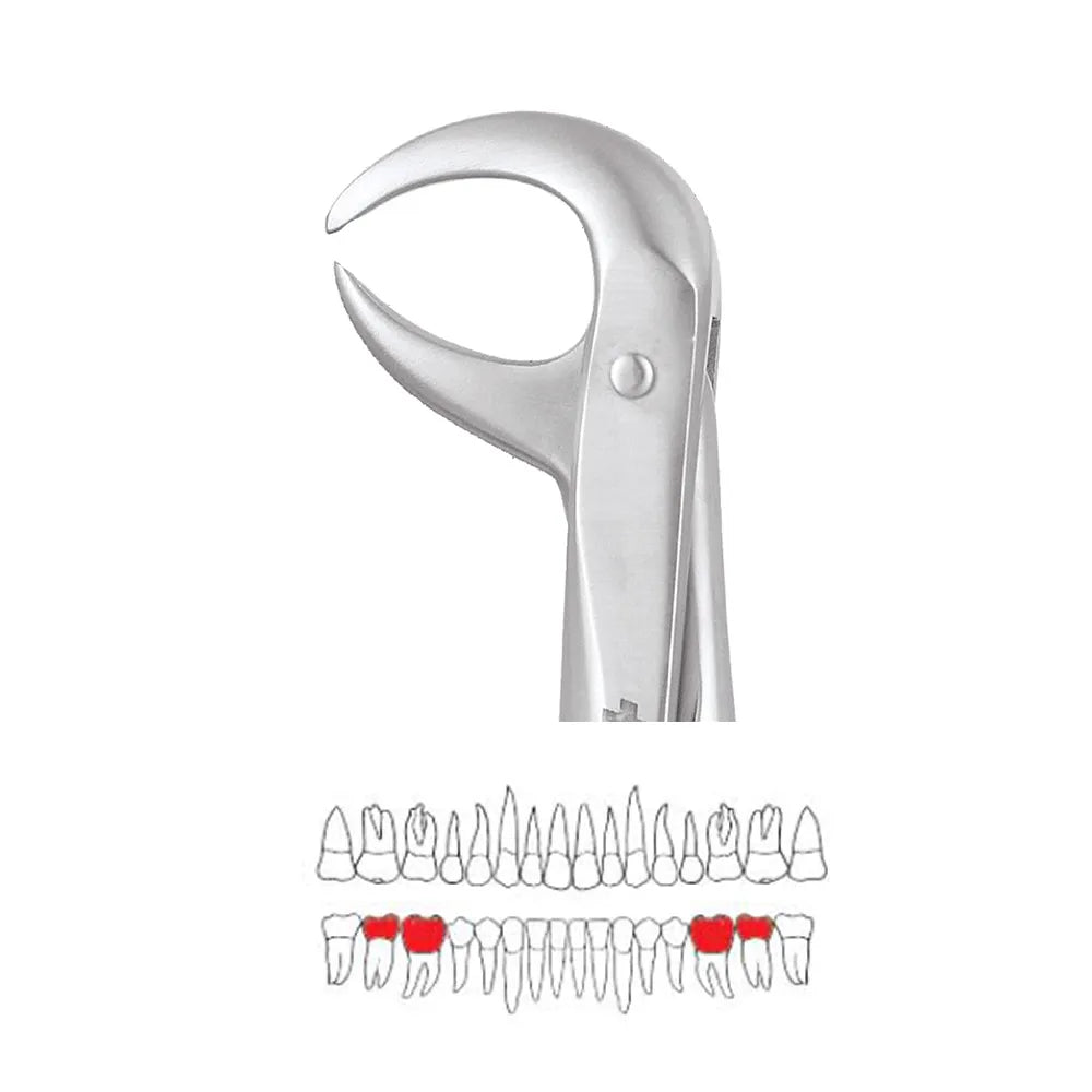GDC Extraction Forceps Lower Molars - 86C Premium (FX86CP)