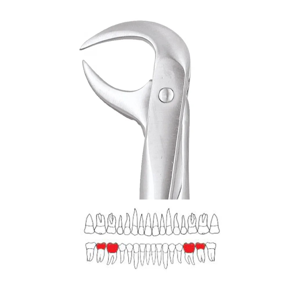 GDC Extraction Forceps Lower Molars - 86A Standard (FX86AS)