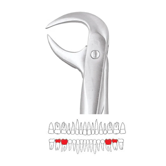 GDC Extraction Forceps Lower Molars - 86A Standard (FX86AS)