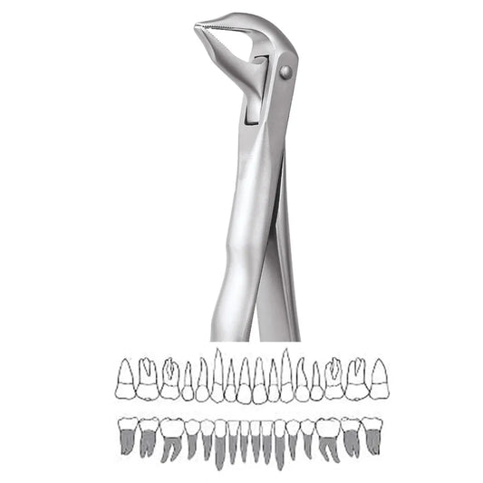 GDC Extraction Forceps Lower Roots - 959.01 Secure (SFX959.01)