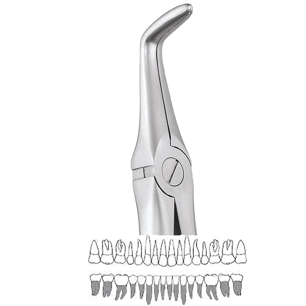 GDC Extraction Forceps Lower Roots - 845.00 Secure (SFX845.00)