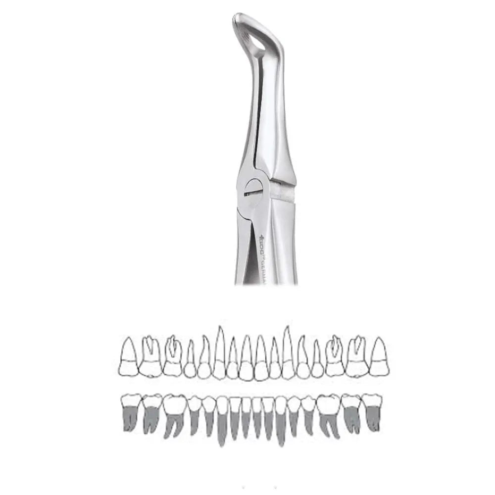 GDC Extraction Forceps Lower Roots - 45 Standard (Fx45s)