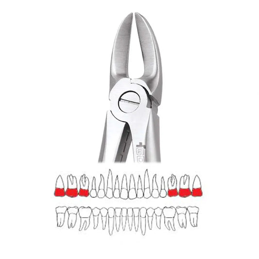 GDC Extraction Forceps Separating Upper Molars - 55 Standard (FX55S)