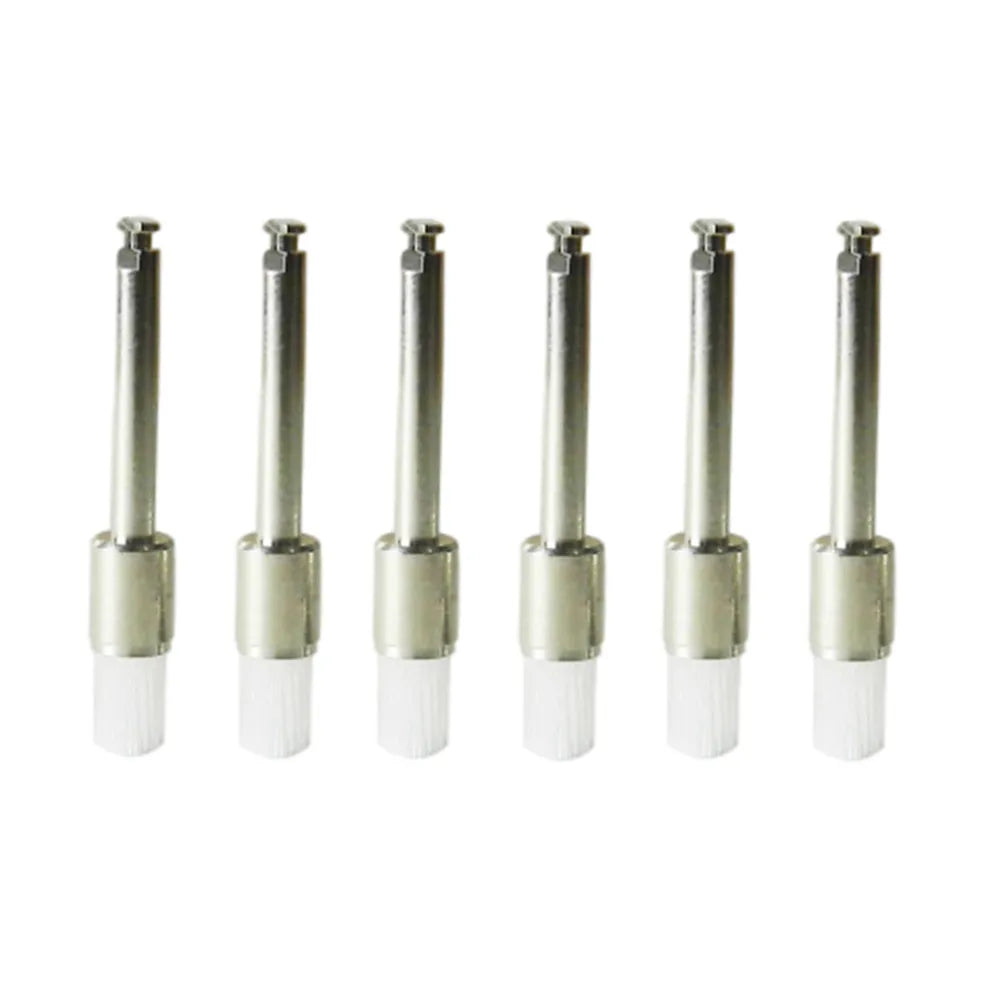 LD Prophy Brush 100/pk - LD-033