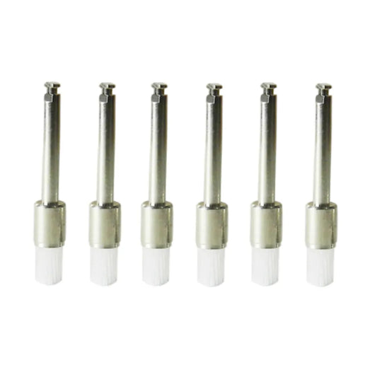 LD Prophy Brush 100/pk - LD-033