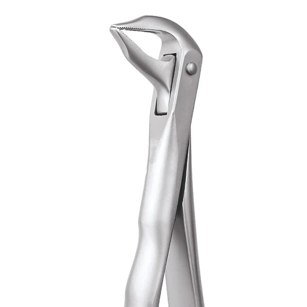 GDC Extraction Forceps Lower Roots - 959.01 Secure (SFX959.01)