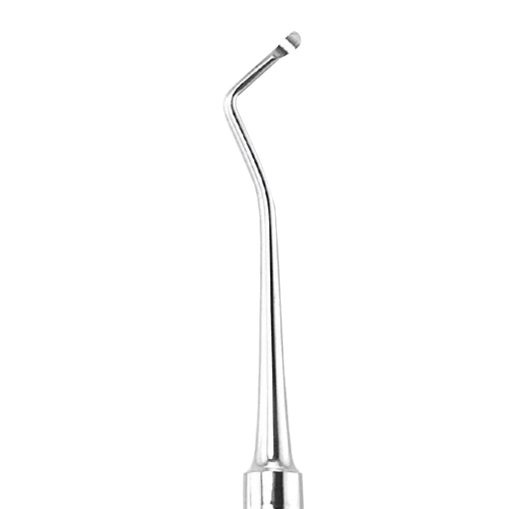 GDC Spoon Excavator Oval Shape #6 EXC18WH