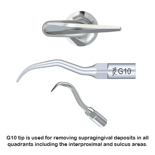Woodpecker Scaler Tip G10 for UDS & EMS Scalers