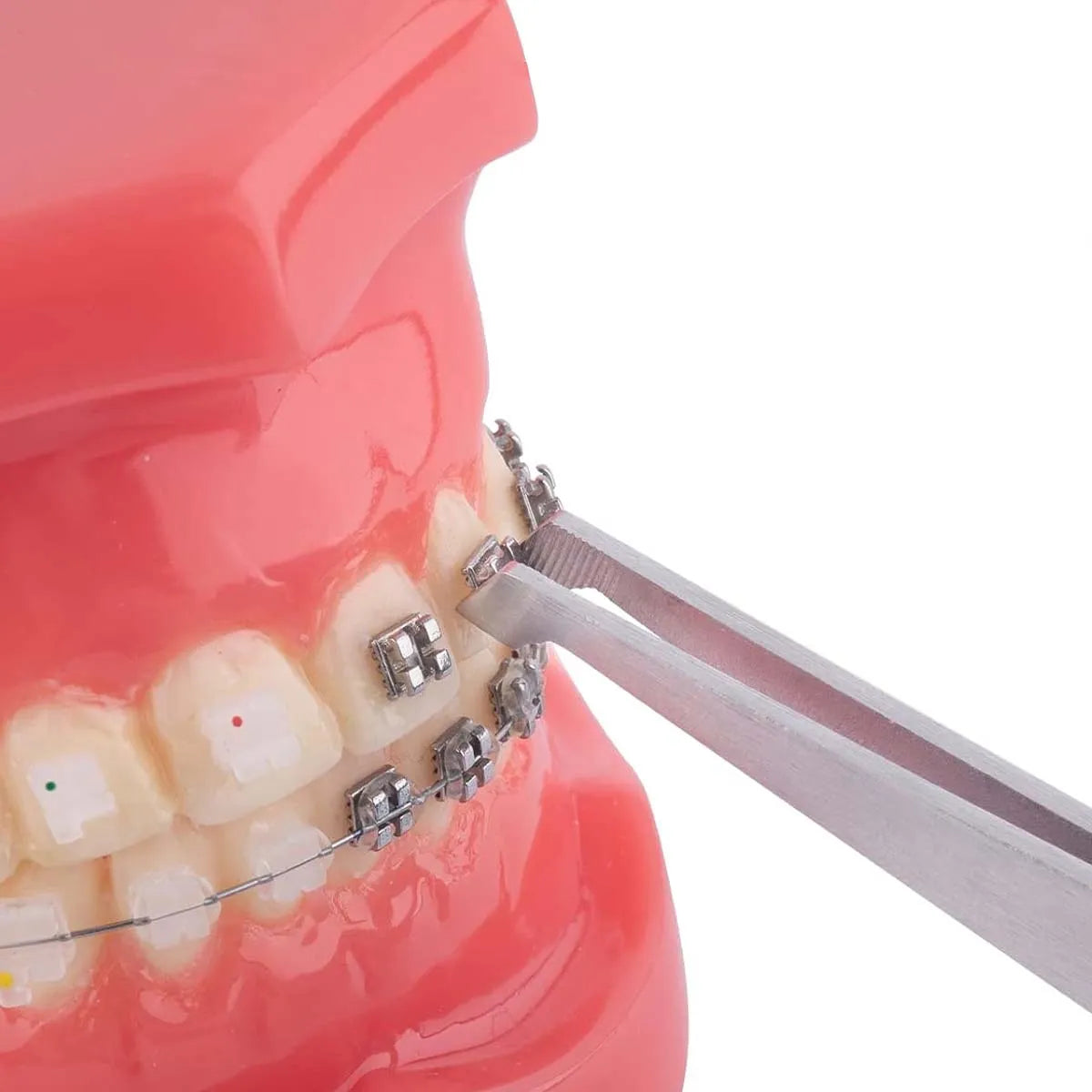 3M Unitek Transbond XT Adhesive Syringe 1 Syr Pack