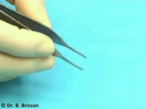 GDC Tissue Forceps Adson Toothed 1x2 (12cm) (Tp42)