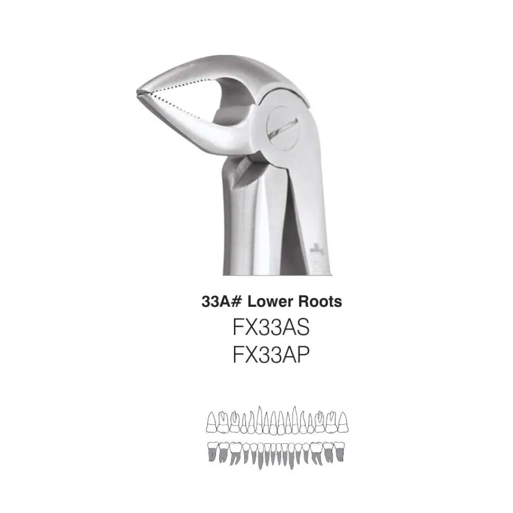 GDC Extraction Forceps Lower Roots Premium - (FX33AP)