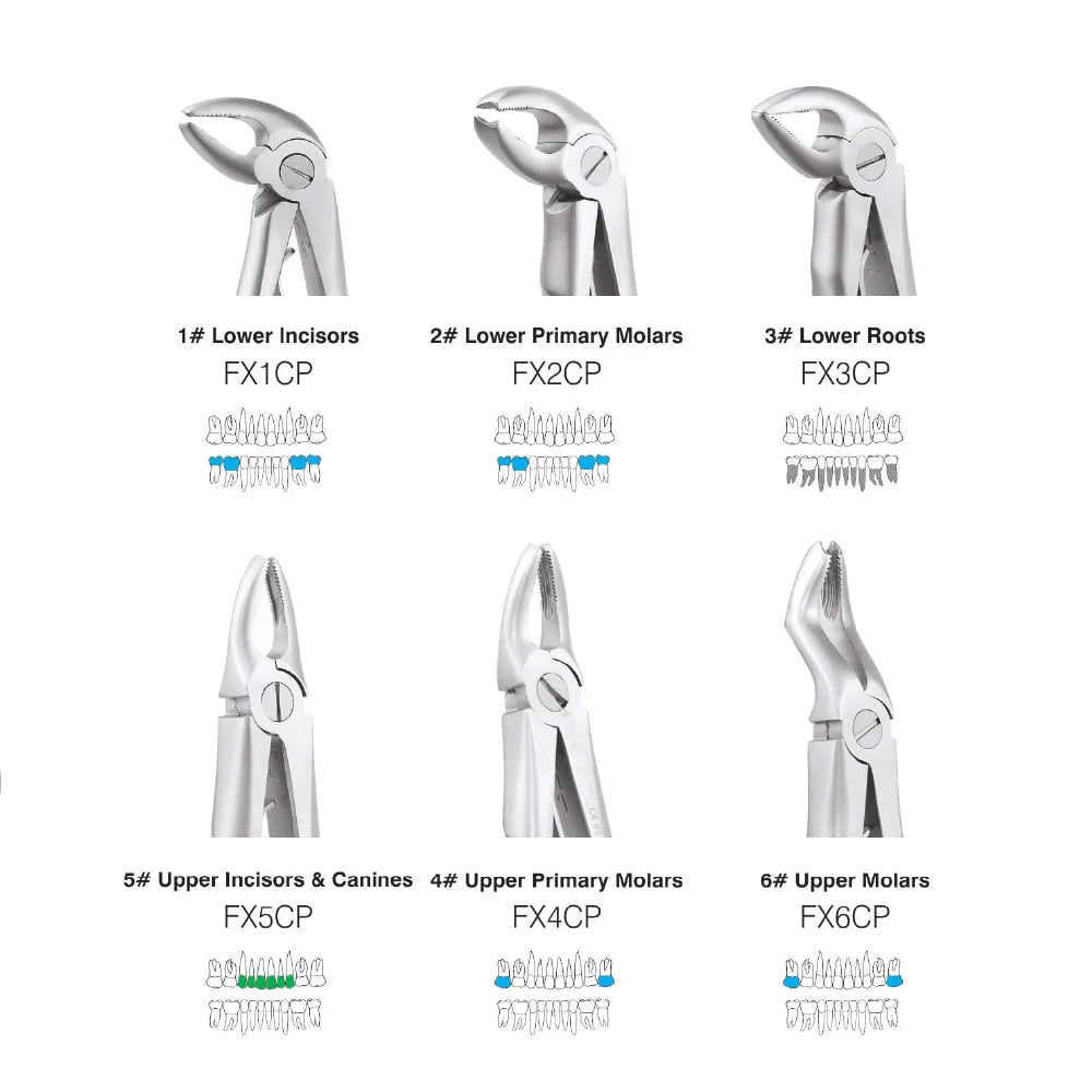GDC Extraction Forceps Pedo