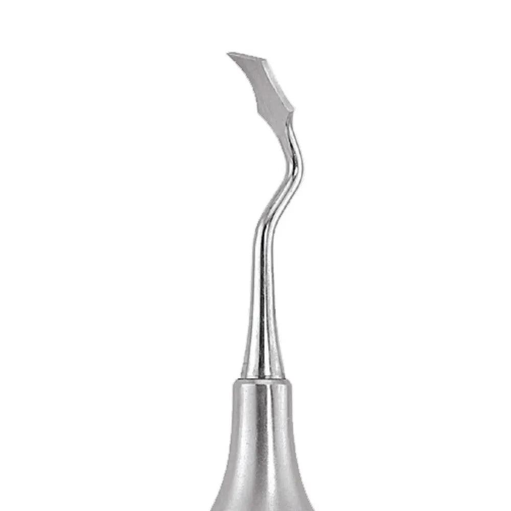 GDC Rhodes Back Action Chisel # 6 (C36/37)