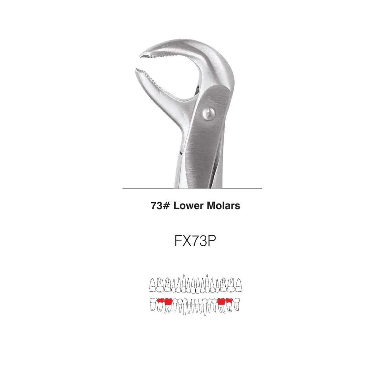 GDC Extraction Forceps S/12 With Cassette Instruments Kit (EFPWC12)