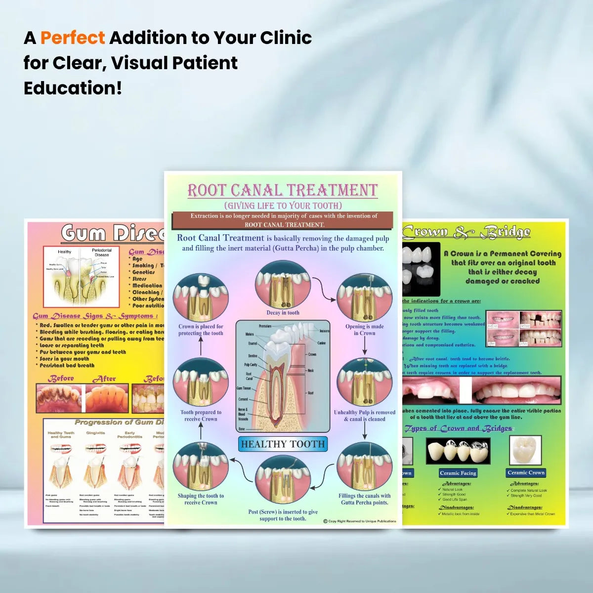 Unique Dents Dental Education Posters (DWP01) - Set Of 6