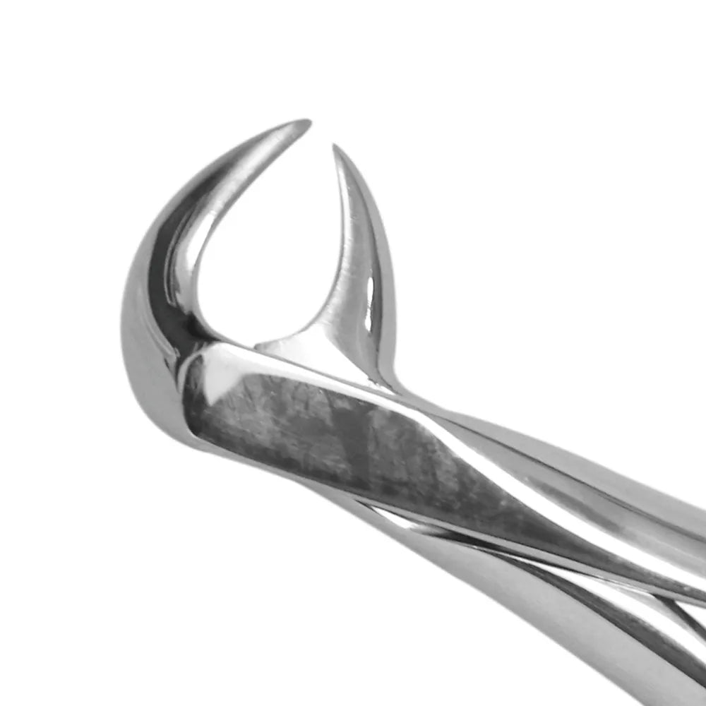 GDC Extraction Forceps Lower Molars - 86A Standard (FX86AS)
