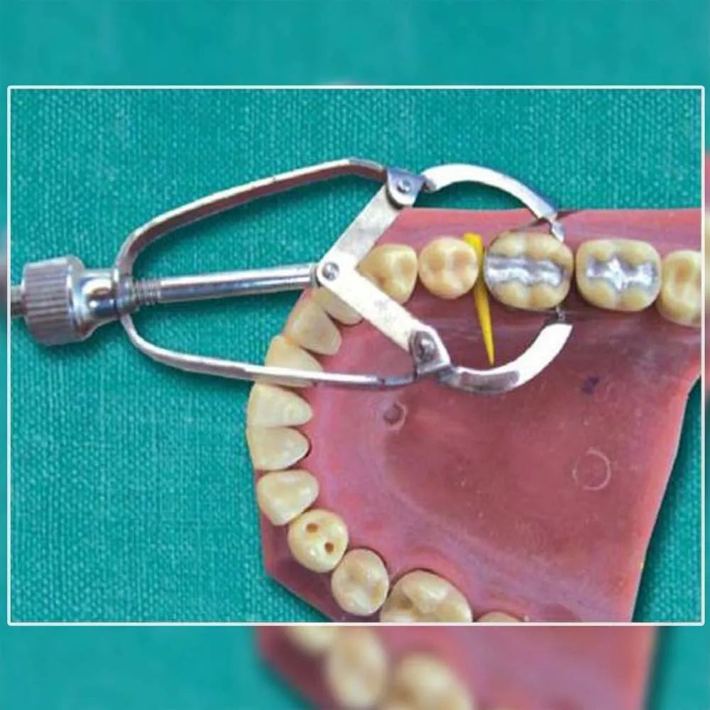 GDC Ivory Retainer (Mri)