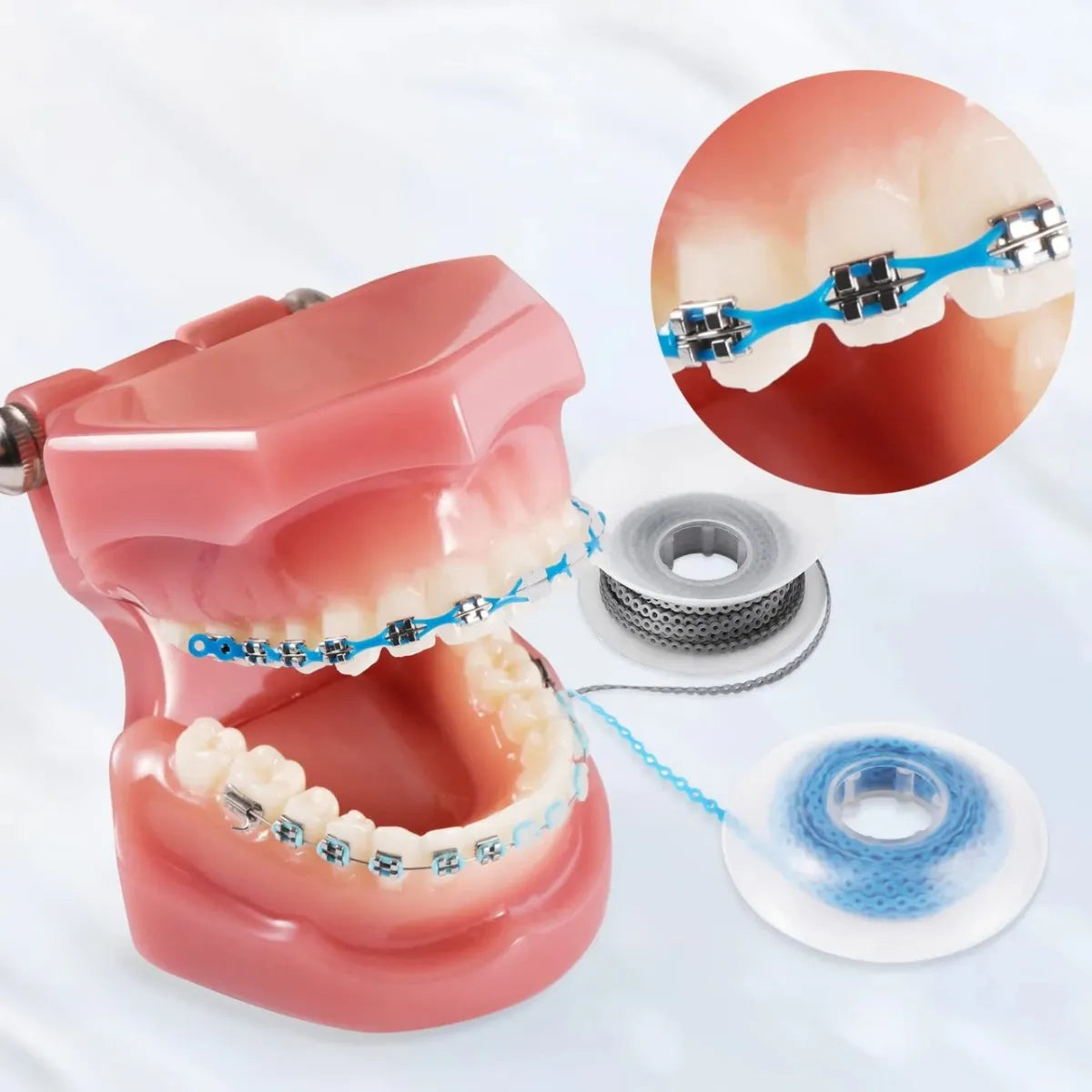 U Ortho E-Chain (15 ft)
