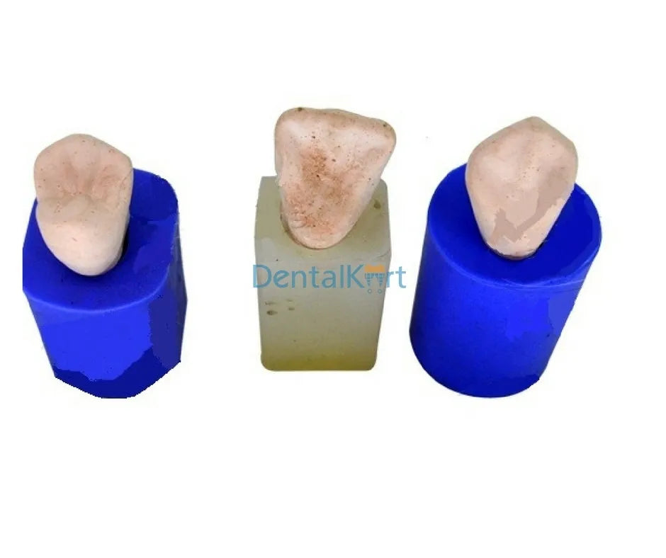 API Model Former - Teeth Enlarger