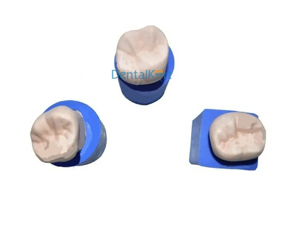 API Model Former - Teeth Enlarger