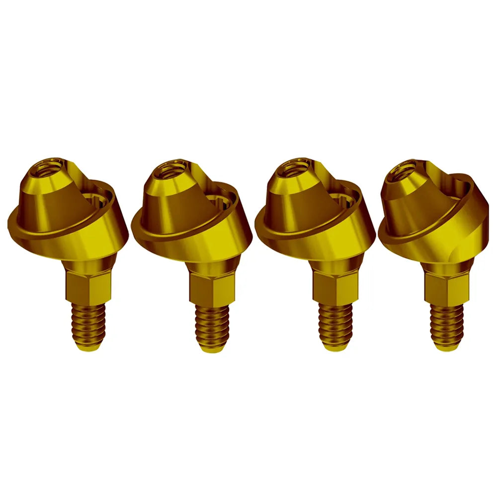 Adin CloseFit NP Angled TMA Abutment