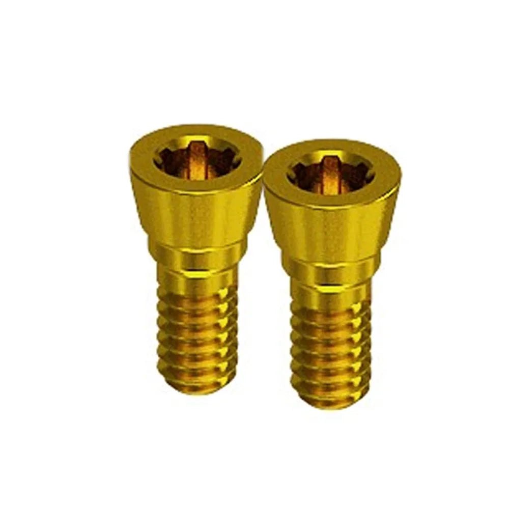 Adin Closefit NP Implant Cover Screw (NP0073)