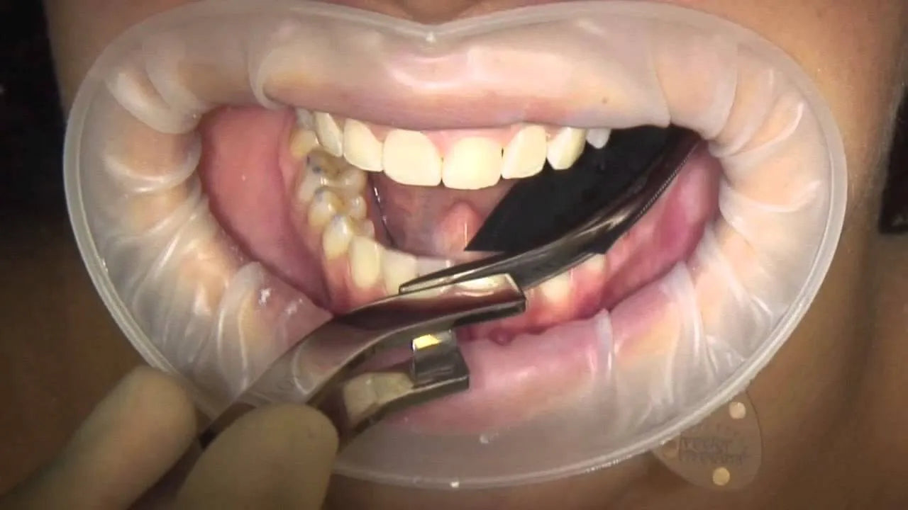 Bausch Articulating Papers with Progressive Colour Transfer - 200µ Microns