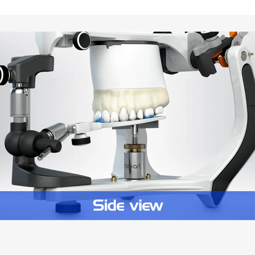 Bio-art Fork Support for Articulator