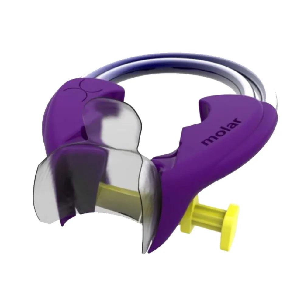Bioclear Biofit HD Posterior Matrix System Kit
