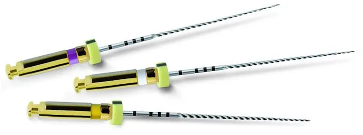 Dentsply Path Rotary File 21mm