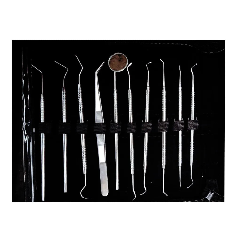 Dr. Steve Conservative Instrument Kit (Set of 20)