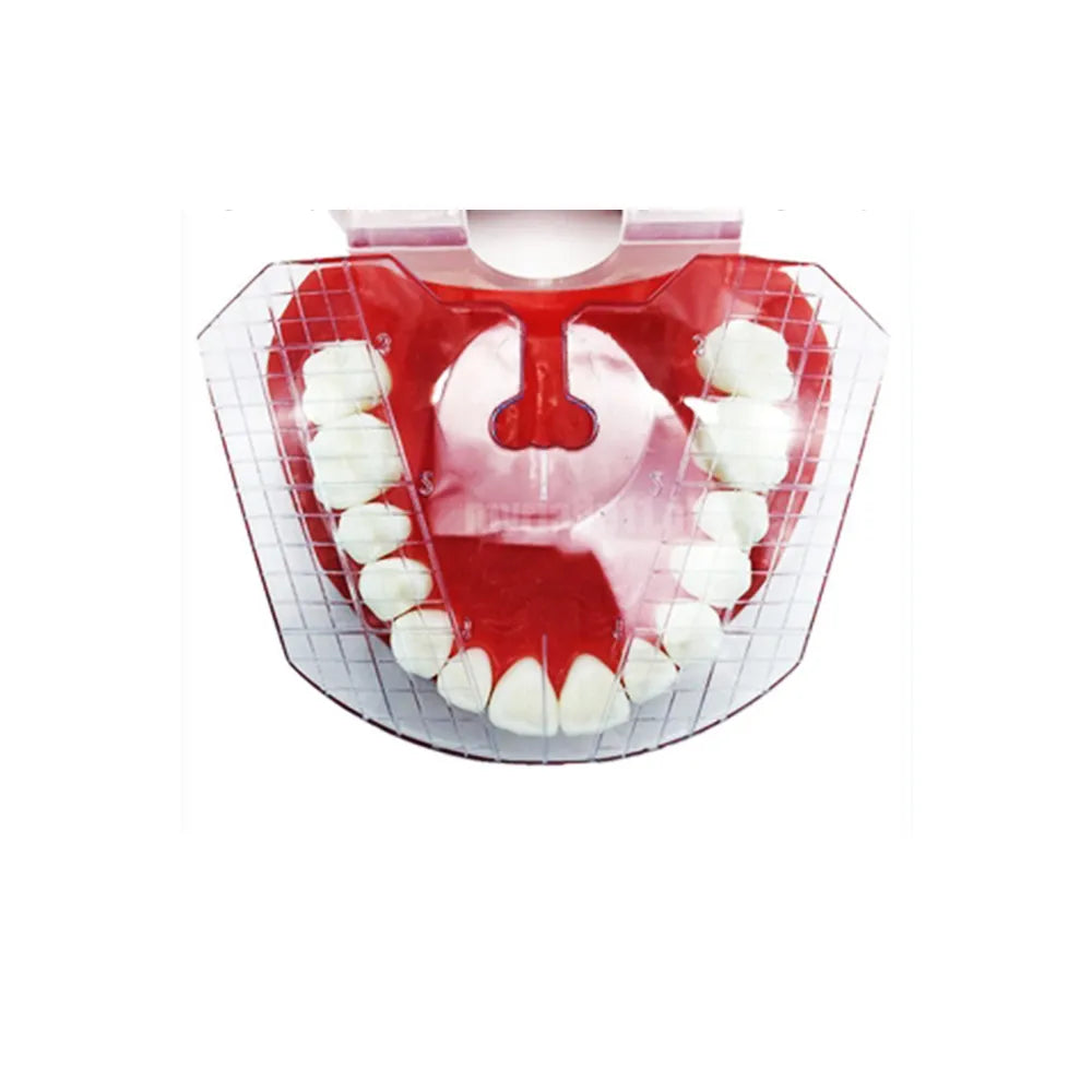 ET Dental Guide Template Plate for Ideal Dentures Fabrication