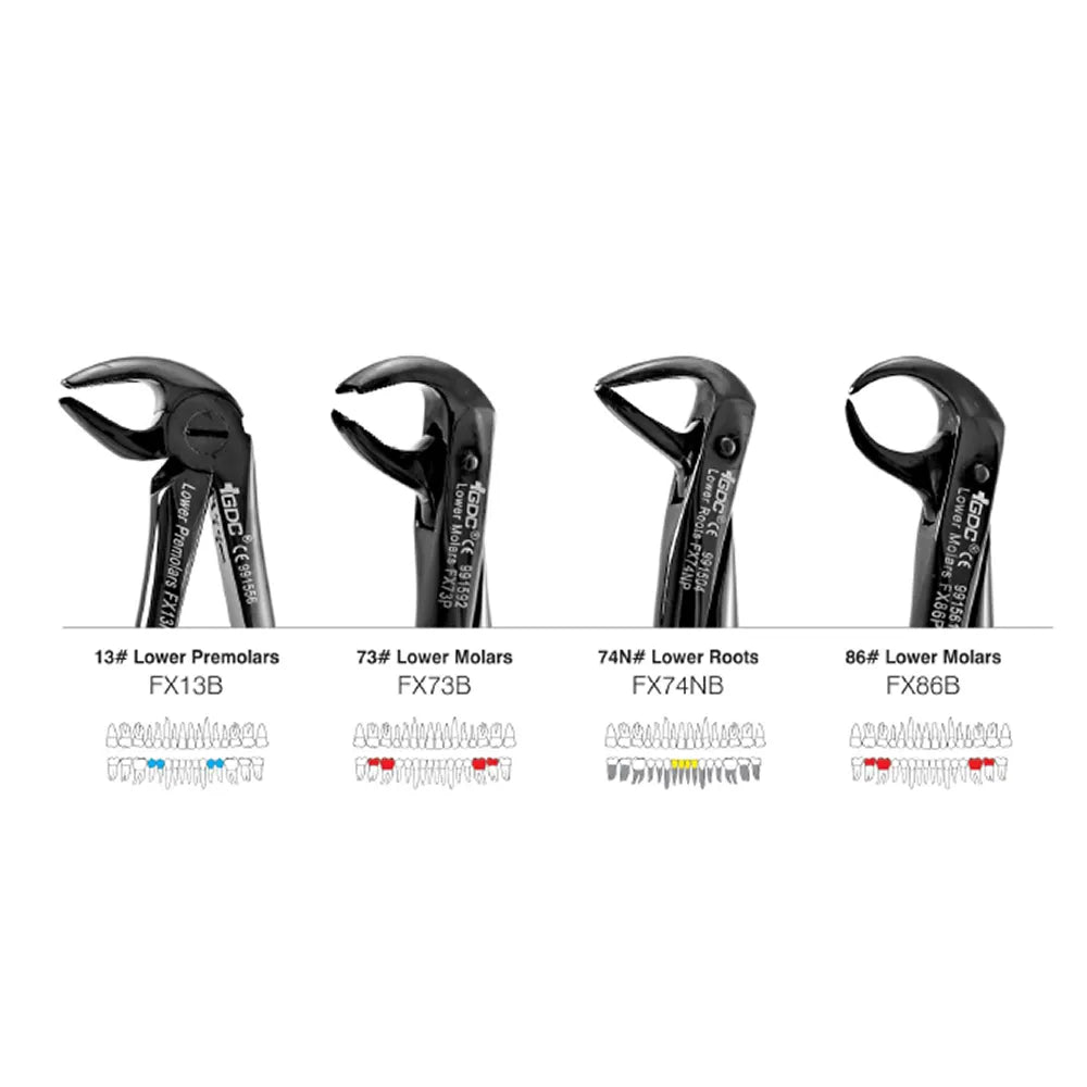GDC Black Plasma Coated Extraction Forcep Kit