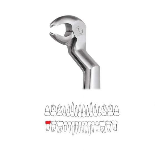GDC Extraction Forceps Lower Molar And Wisdom Left-22 1/2l Standard (FX22 1/2LS)