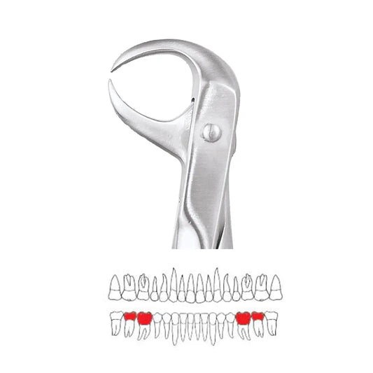 GDC Extraction Forceps Lower Molars - 86 Ergonomic (FX86E)