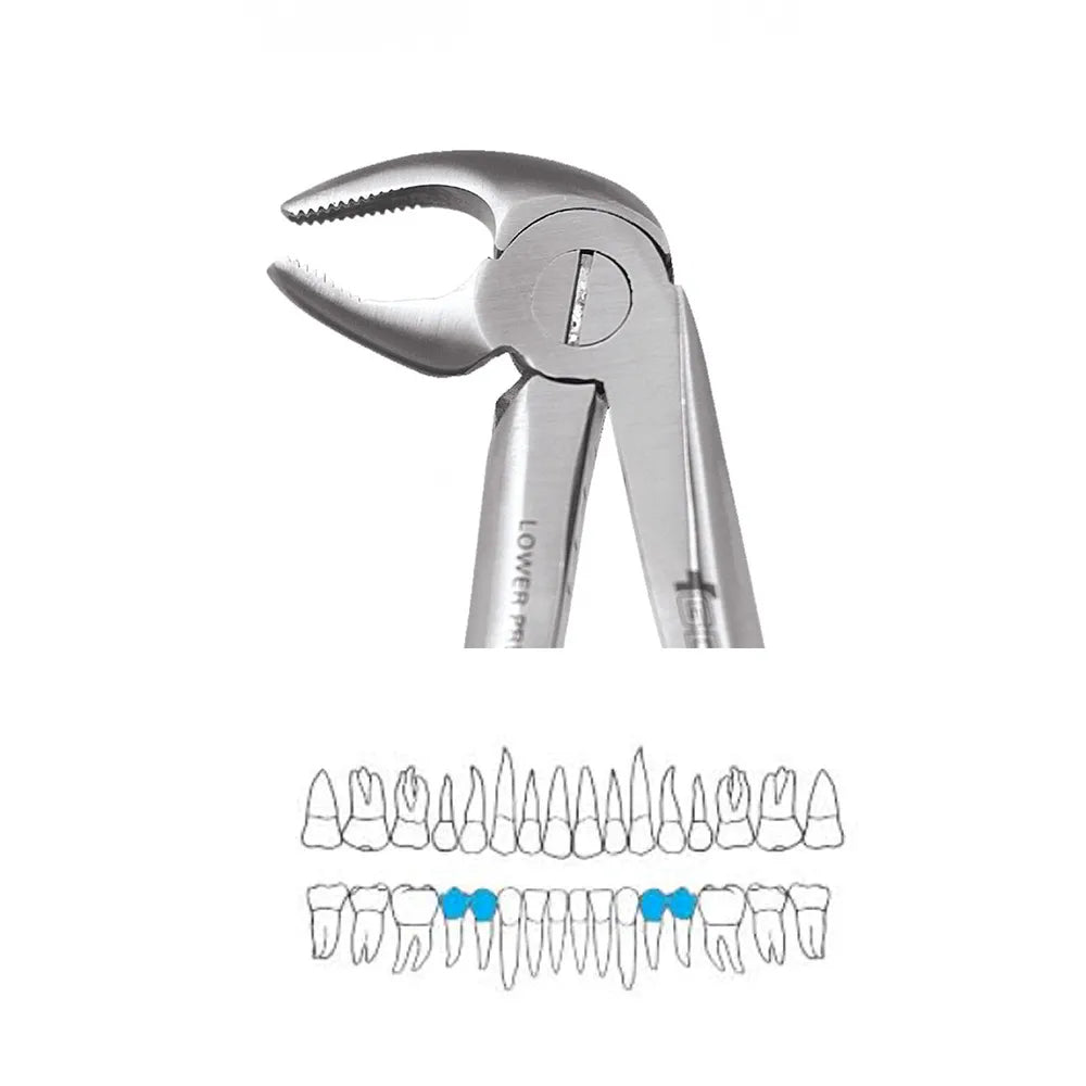 GDC Extraction Forceps Lower Premolars - 13 Standard (FX13S)