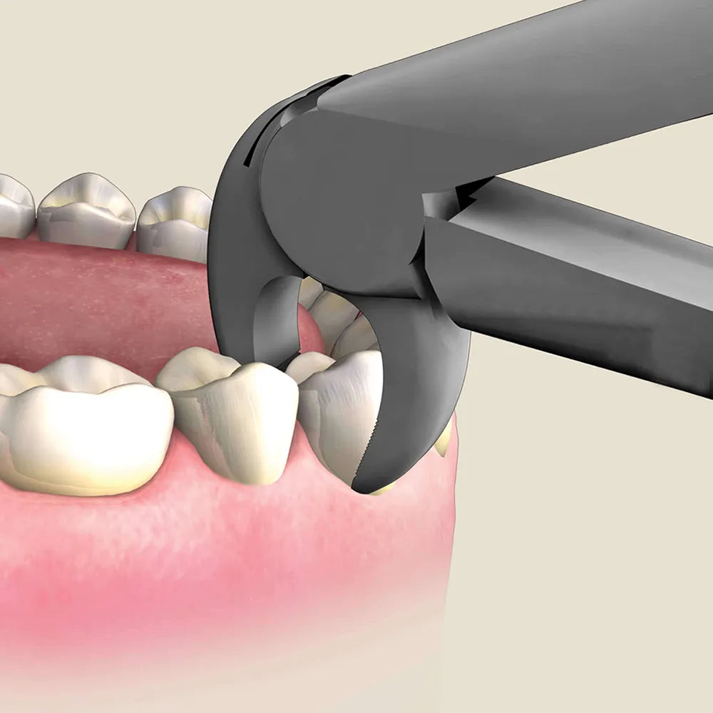 GDC Extraction Forceps Lower Premolars - 13 Standard (FX13S)