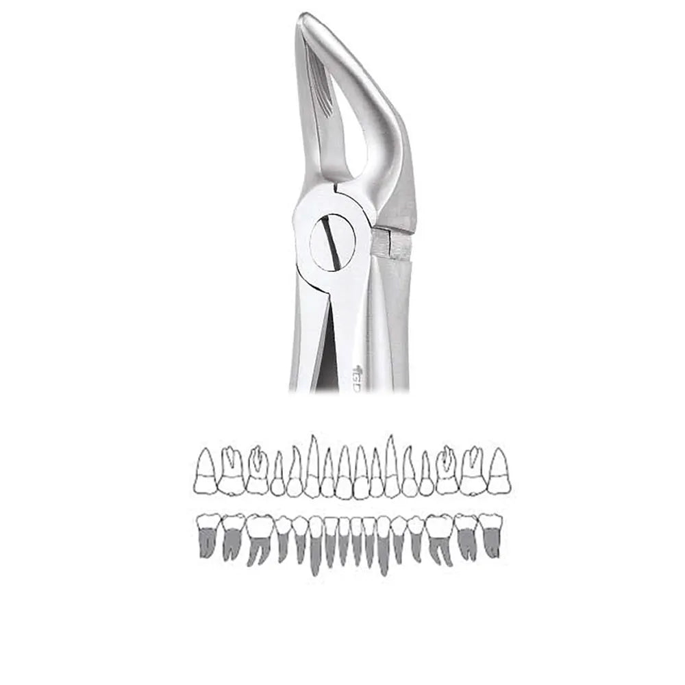 GDC Extraction Forceps Lower Roots - 31 Standard (FX31S)