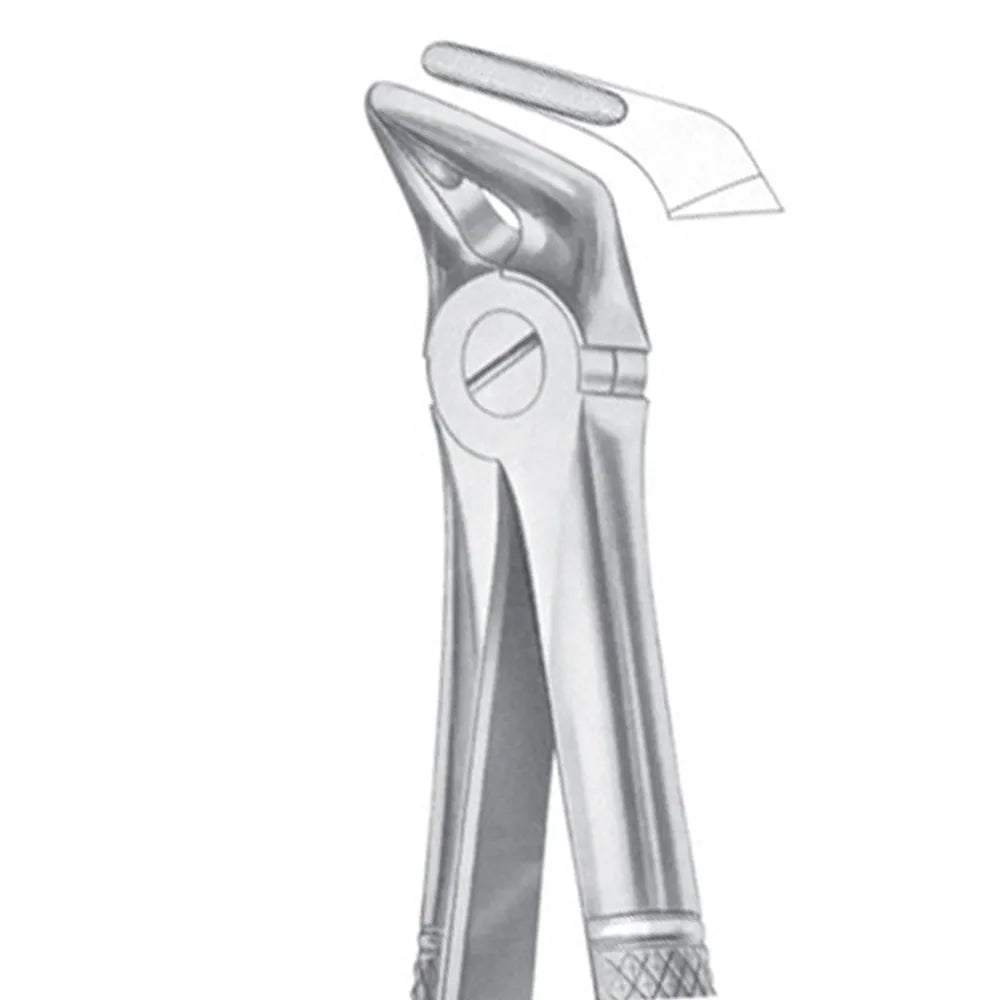 GDC Extraction Forceps Lower Roots - 31 Standard (FX31S)