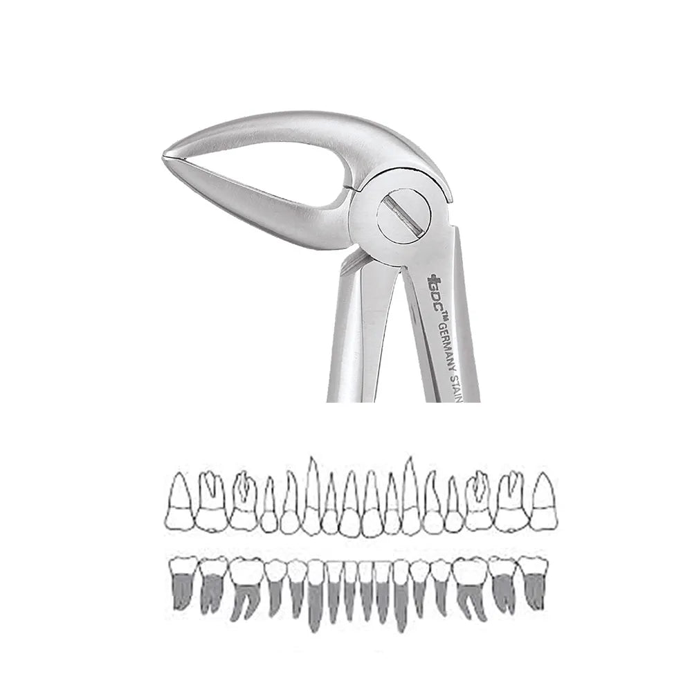 GDC Extraction Forceps Lower Roots - 33L Standard (FX33LS)