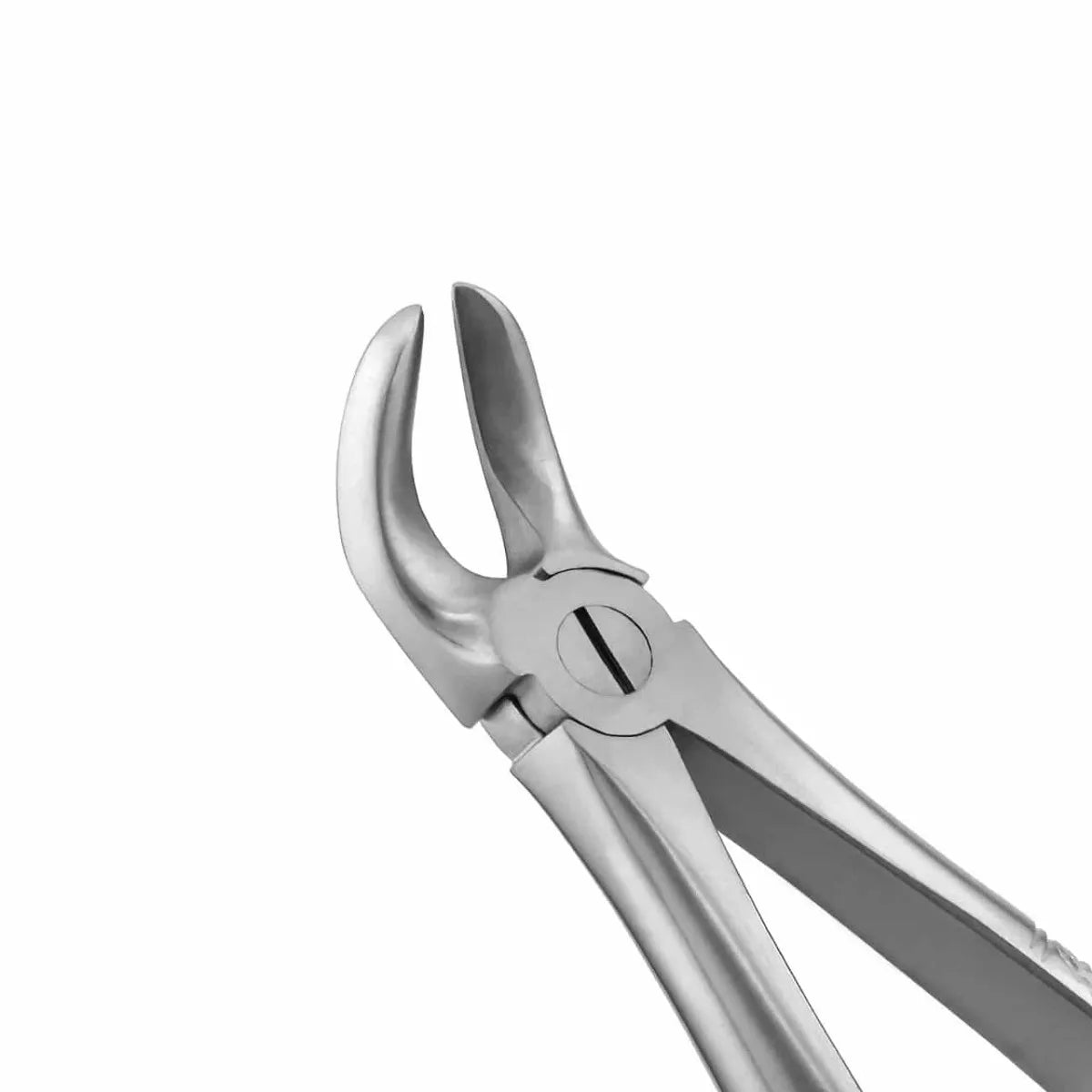 GDC Extraction Forceps Separating Lower Molars - 56 Standard (FX56S)