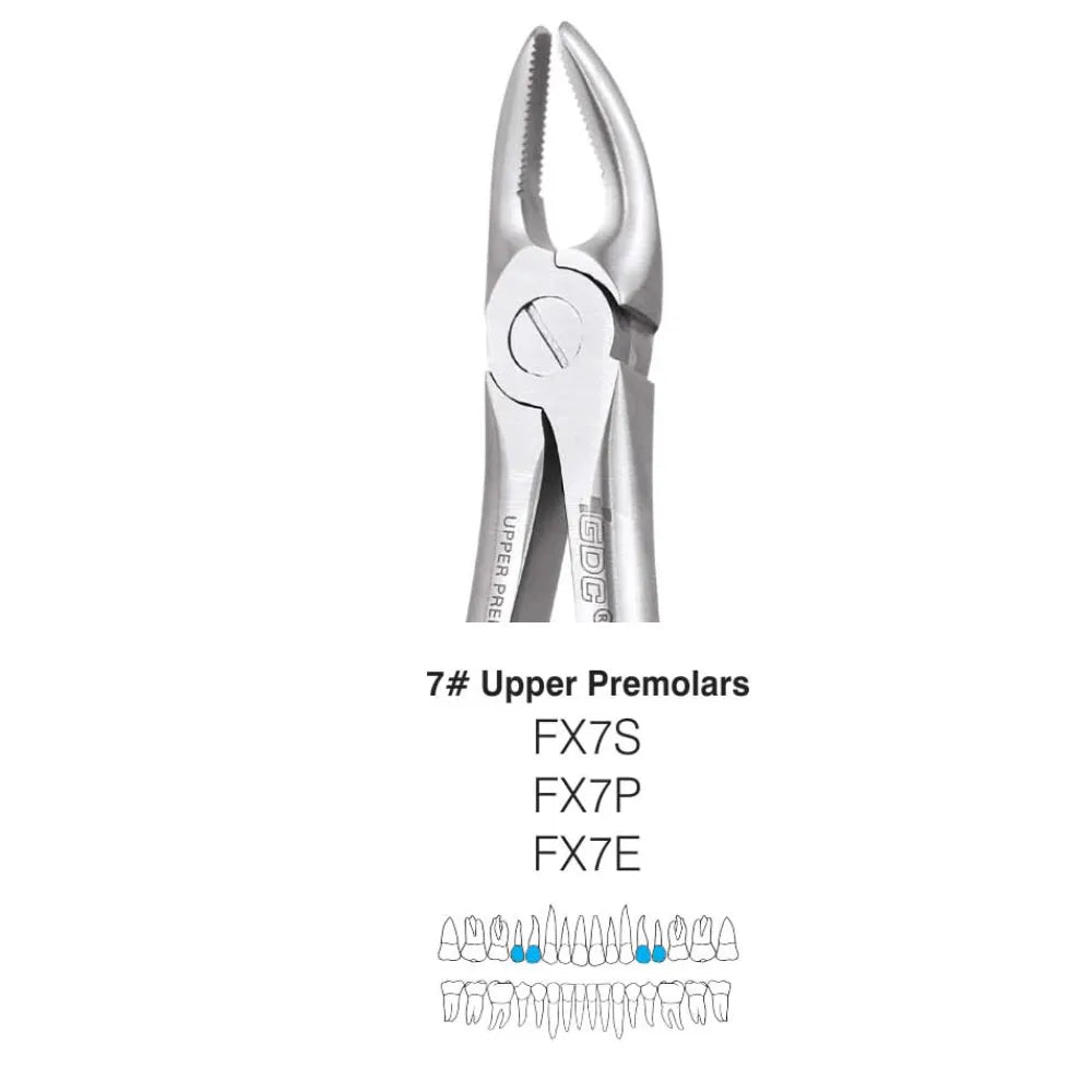 GDC Extraction Forceps Upper Premolar - 7 Standard (FX7S)