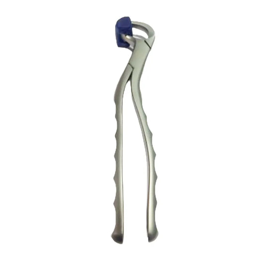 GDC Extraction Forceps Upper Right Physical (Pafx100ur)