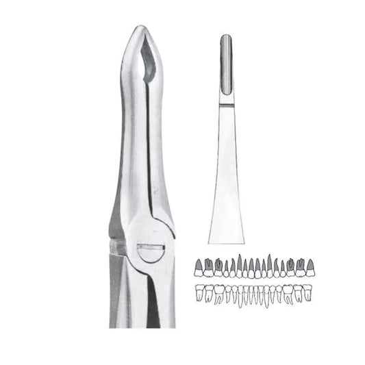 GDC Extraction Forceps Upper Roots - 41 Standard (FX41S)
